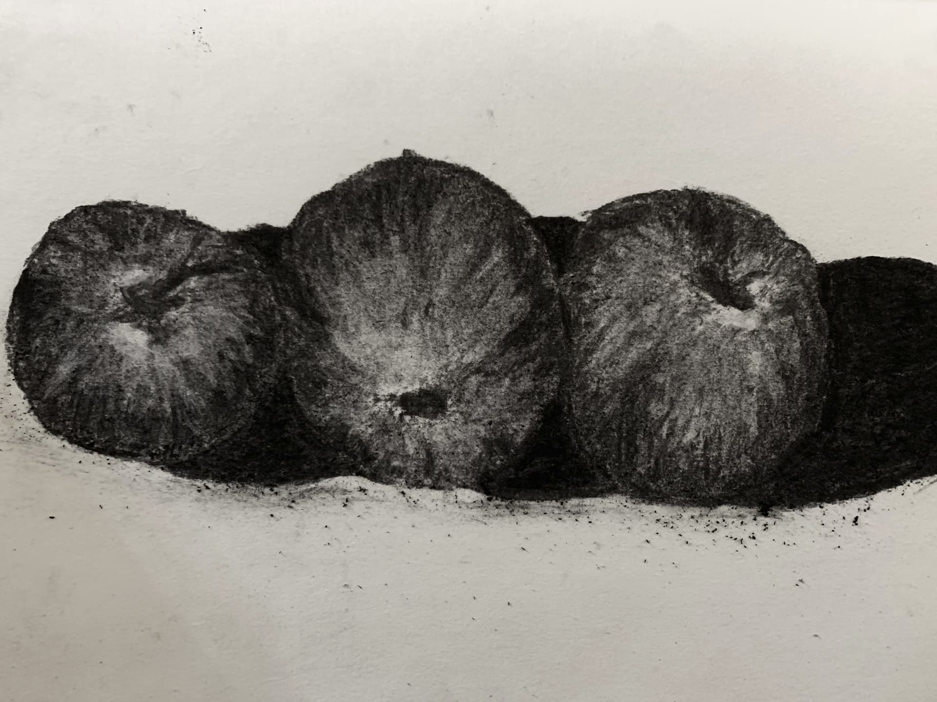 Dibujo a carboncillo de tres manzanas en penumbra